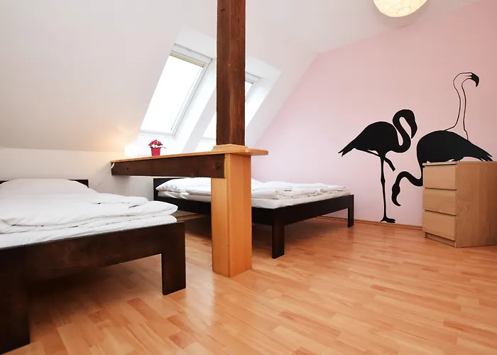 Maison d'hôtes Flamingo