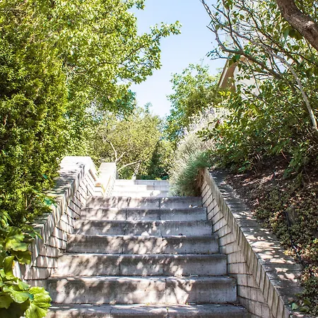 Penzion Flamingo Praha